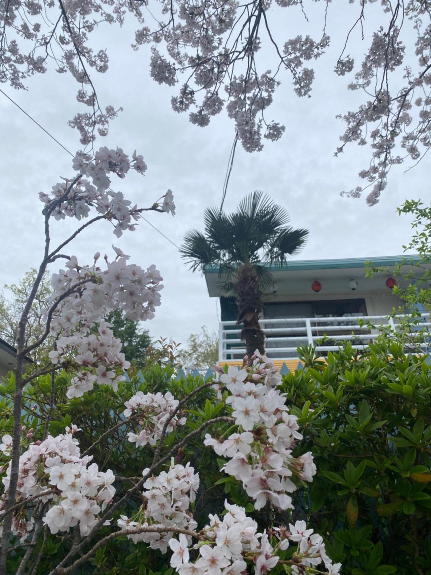Hanamizuki Onsen Resort Ito  Exterior photo