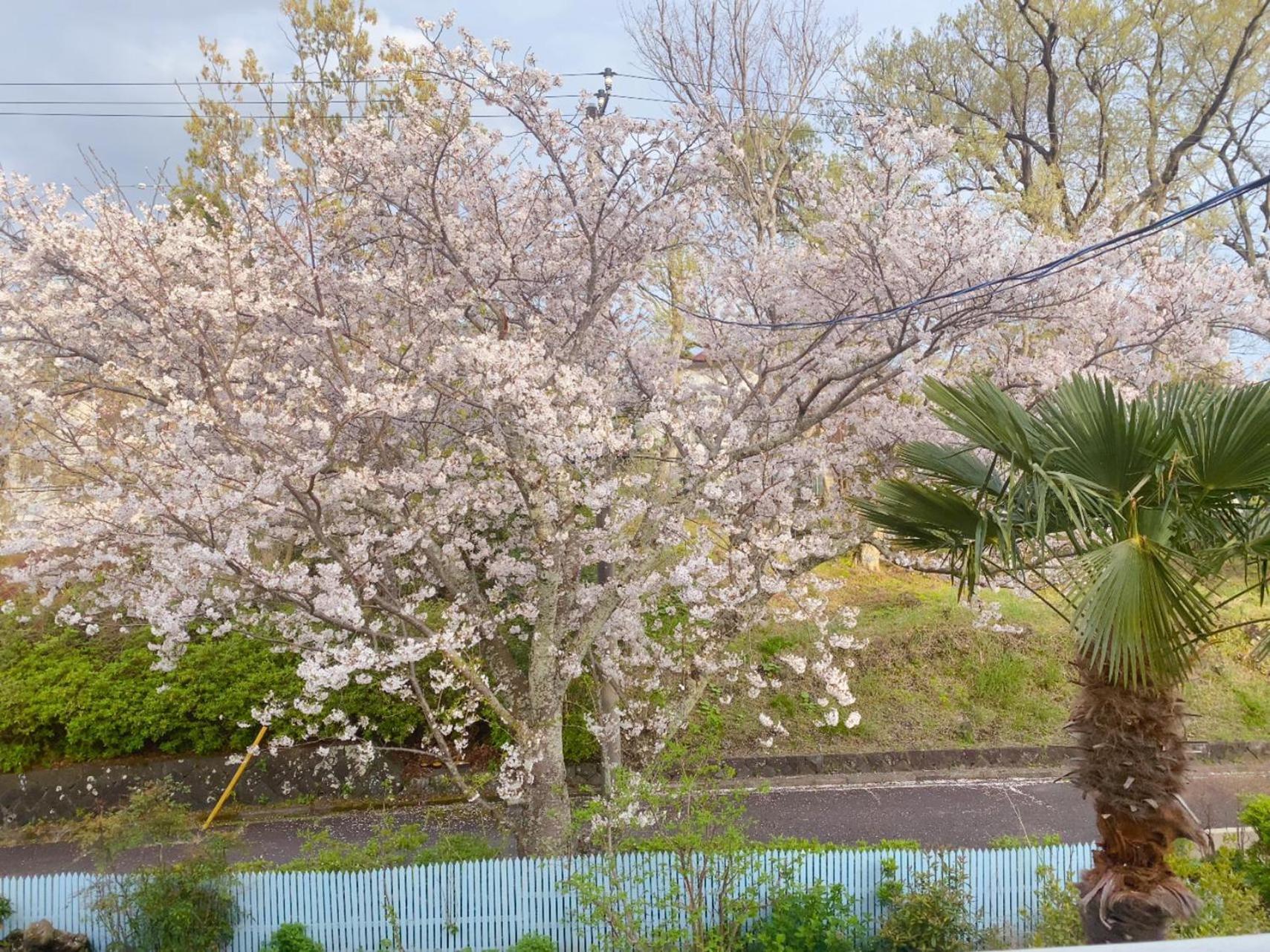 Hanamizuki Onsen Resort Ito  Exterior photo