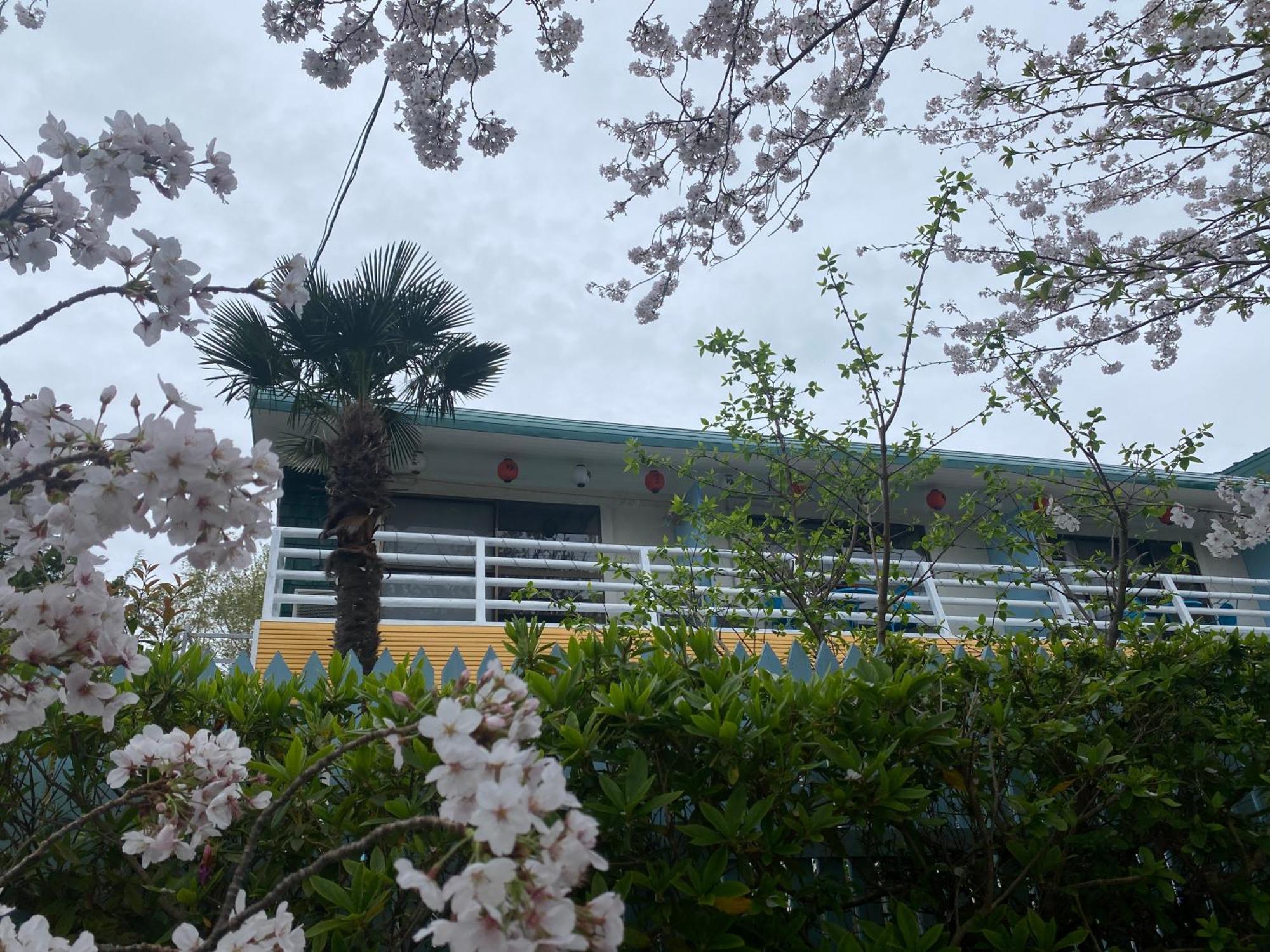 Hanamizuki Onsen Resort Ito  Exterior photo